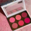JACLYN COSMETICS ROUGE AFFAIR BLUSH PALATTE: LOVE ROSY GLOW