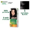 Garnier Color Naturals 1
