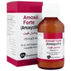 Amoxil 90Ml Forte Syrup 250Mg5Ml