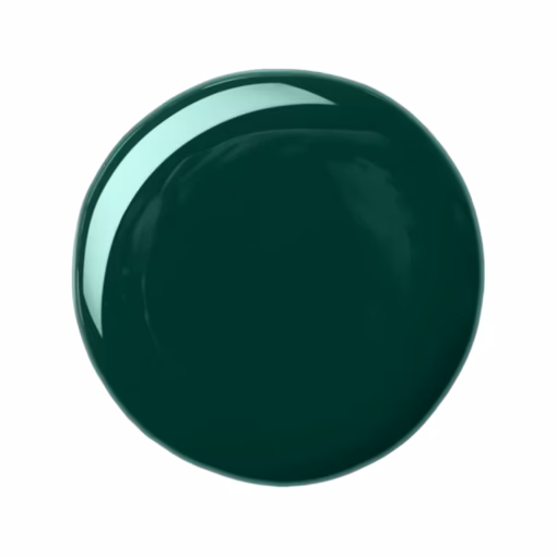 Aqua Color Line Long Wear Nail Polish Shade 204